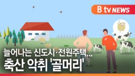 [B tv 수원뉴스]늘어나는 신도시·전원주택...축산 악취 골머리