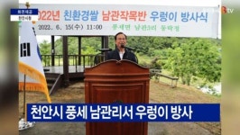 [B tv 중부뉴스]천안시 풍세 남관리서 우렁이 방사