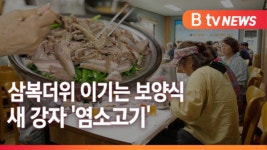 [B tv 전주뉴스] 여름철 보양식 염소고기 각광…영양 성분 풍부