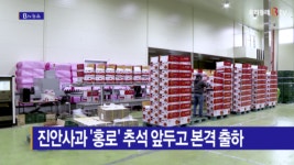 [B tv 전주뉴스] 진안사과 홍로 추석 앞두고 본격 출하