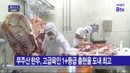 [B tv 전주뉴스] 무주산 한우, 고급육인 1+등급 출현율 도내 최고