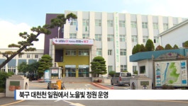 [B tv 부산뉴스] 북구 대천천 일원에서 노을빛 정원 운영