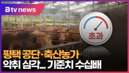 [B tv 기남뉴스] 평택 공단·축산농가 악취 심각...기준치의 수십배