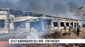[B tv 부산뉴스] 강서구 농협화훼공판장 창고 화재...인명 피해 없어