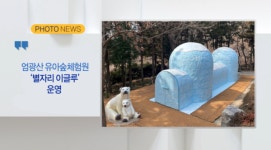 [B tv 부산뉴스] 엄광산 유아숲체험원,별자리 이글루운영 외 2
