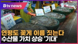 [B tv 인천뉴스] 연평도 꽃게 이름 짓는다…수산물 가치 상승 기대
