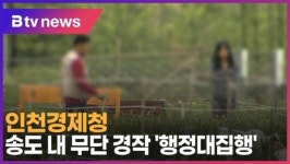 인천경제청, 송도 내 무단 경작 행정대집행 (B tv 인천뉴스)