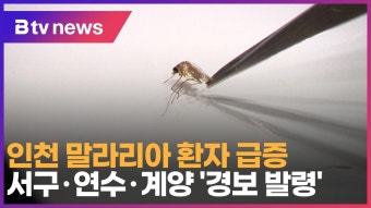 인천 말라리아 환자 급증…서구·연수·계양 '경보 발령' (B tv 인천뉴스)