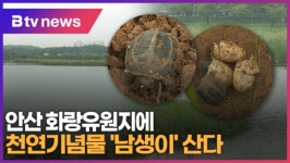 안산 화랑유원지에 천연기념물 남생이 산다 (B tv 한빛뉴스)
