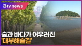 [특별기획-걷고 싶은 길] ⑪ 숲과 바다가 어우러진 대부해솔길(B tv 한빛뉴스)