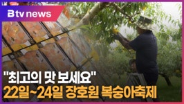 최고의 맛 보세요 22일~24일 장호원 복숭아축제 (B tv 기남뉴스)