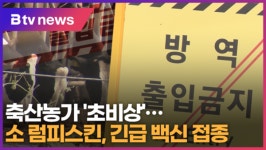축산농가 초비상…소 럼피스킨, 긴급 백신 접종 (B tv 기남뉴스)