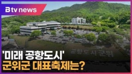 미래 공항도시 군위군 대표축제는 (대구)