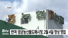 반여.엄궁농산물도매시장, 2월 4일 정상 영업 (Btv 부산뉴스)