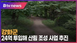 강화군, 24억 투입해 산림 조성 사업 추진 (B tv 인천뉴스)