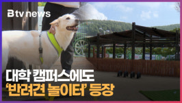 대학 캠퍼스에도 반려견 놀이터 등장  (B tv 부산뉴스)