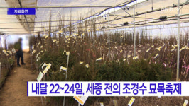 [B tv 세종뉴스]내달 22~24일, 세종 전의 조경수 묘목축제