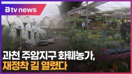 과천 주암지구 화훼농가, 재정착 길 열렸다 (B tv abc뉴스)