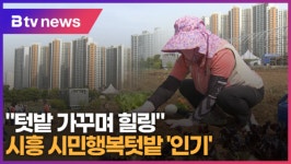 텃밭 가꾸며 힐링 시흥 시민행복텃밭 인기 (B tv 한빛뉴스)