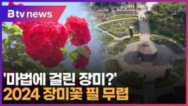 장미꽃 필(Feel) 무렵 다가오다 (대구)