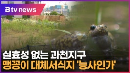 생존율 떨어지는데... 과천지구 맹꽁이 대체서식지 능사인가 (B tv abc뉴스)