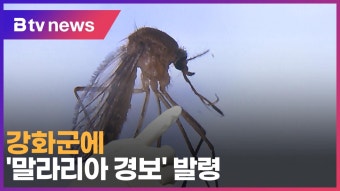 강화군에 '말라리아 경보' 발령 (B tv 인천뉴스)
