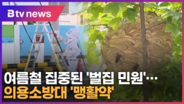 여름철 집중 벌집 민원 ...군포 의용소방대 맹활약 (B tv abc뉴스)