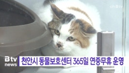 [B tv 중부뉴스]천안시 동물보호센터, 9월부터 연중무휴 운영