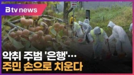 악취 주범 은행…주민 손으로 치운다 (대구)
