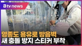영종도 용유로 방음벽… 새 충돌 방지 스티커 부착 (B tv 인천뉴스)