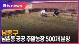 남동구, 남촌동 공공 주말농장 500개 분양 (B tv 인천뉴스)