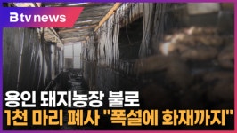 용인 백암 돼지농장서 불…1천 마리 폐사 폭설에 화재까지 (B tv 기남뉴스)