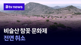 비슬산 참꽃 문화제 전면 취소 (대구)