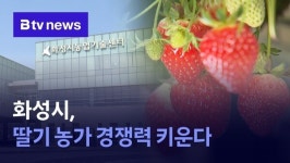 화성시, 딸기 농가 경쟁력 키운다