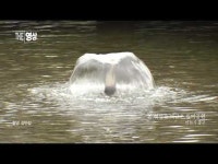 [THE 영상] 봄 햇살ᄋ