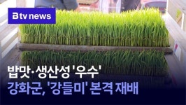 밥맛· 생산성 우수… 강화군, 강들미 본격 재배