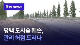 평택 도시숲 훼손, 관리 허점 드러나