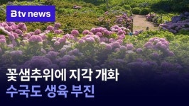 꽃샘추위에 지각 개화…수국도 생육 부진