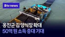 옹진군 김 양식장 확대… 50억 원 소득 증대 기대