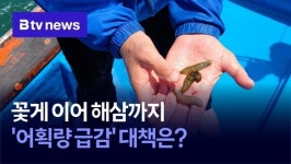 꽃게 이어 해삼까지… 어획량 급감 대책은?