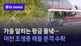 가을 알리는 황금 들녘…이천 조생종 해들 본격 수확