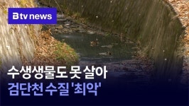 수생생물도 못 살아…검단천 수질 최악