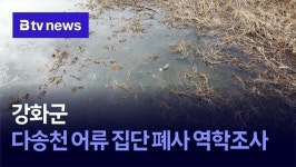 강화군, 다송천 어류 집단 폐사 역학조사