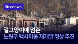 길고양이에 멈춘 노원구 백사마을 재개발 정상 추진