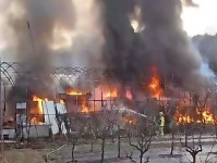 [속보]시흥 계수동 비닐하우스 화재...3개동으로 확산