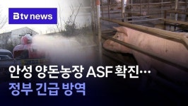 안성·포천 아프리카돼지열병 발생