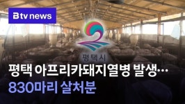 평택 아프리카돼지열병 발생…830마리 살처분