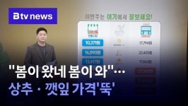 [주간알뜰장보기] 봄이 왔네 봄이 와…상추·깻잎 가격 뚝 (3월 2주)