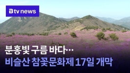 분홍빛 구름 바다…비슬산 참꽃문화제 17일 개막