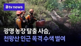 광명 농장 탈출 사슴, 천왕산 인근 목격 수색 벌여
